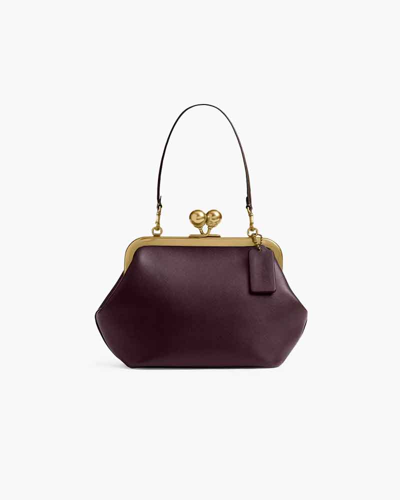Vintage-Evening-Kiss-Lock-Small-Shoulder-Bag-7