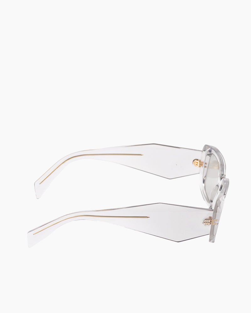 Women's Oversized Geometric Temples Sunglasses